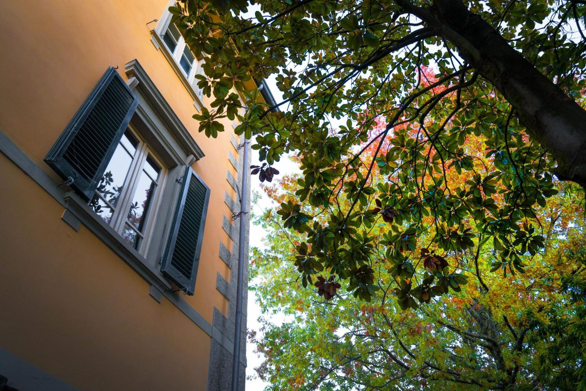 Villa Ines Charme Near Lucca Altopascio Zewnętrze zdjęcie